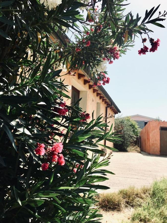 Agriturismo Funtan'Arva Loculi 외부 사진